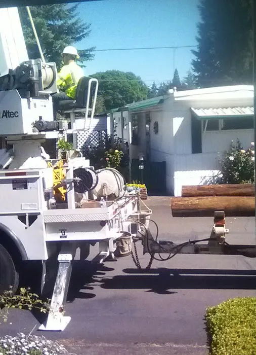 Holly Tree Mobile Home Park Picture 5