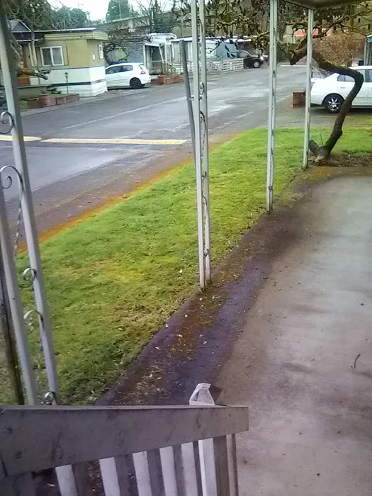 Holly Tree Mobile Home Park Picture 6