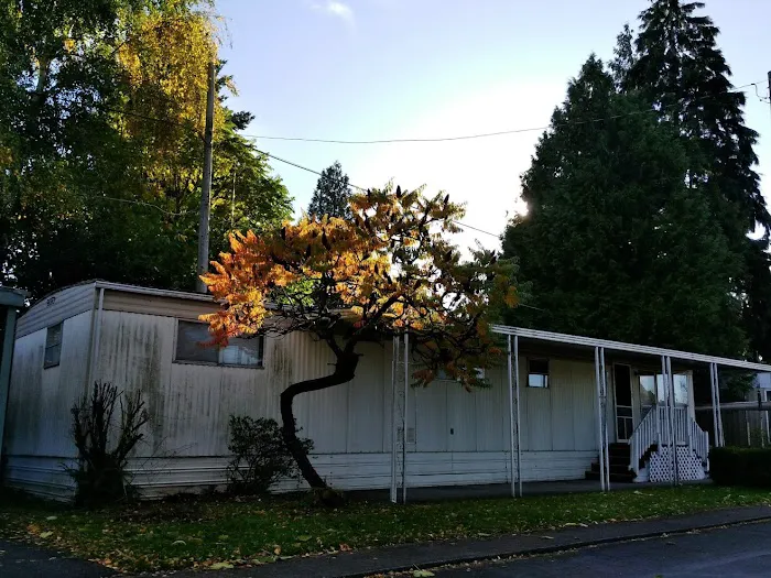 Holly Tree Mobile Home Park Picture 9