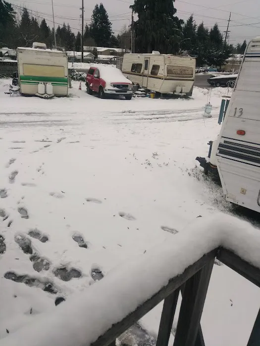 Fir Grove Picture 10