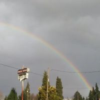 Arbor Mobile Home Park ico