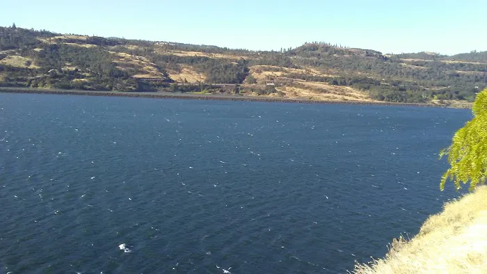 Vista Del Rio Picture 6