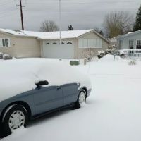 Cascade Park Village ico