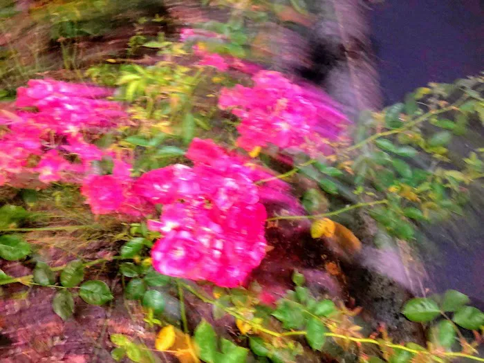 Fran-Mar Mobile Home Villa Picture 5