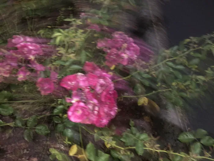 Fran-Mar Mobile Home Villa Picture 7