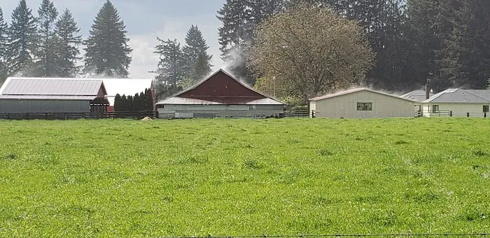 Green Mountain Mobile Ranch Picture 3