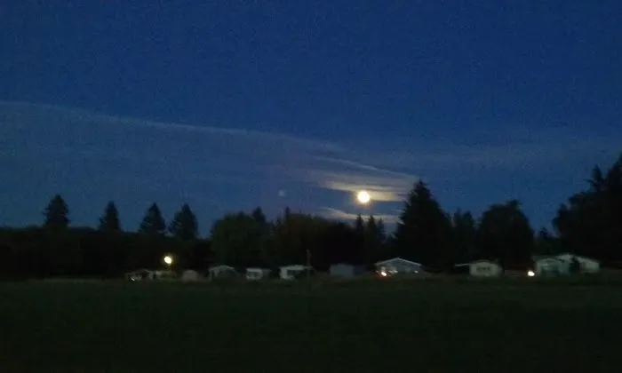 Green Mountain Mobile Ranch Picture 4