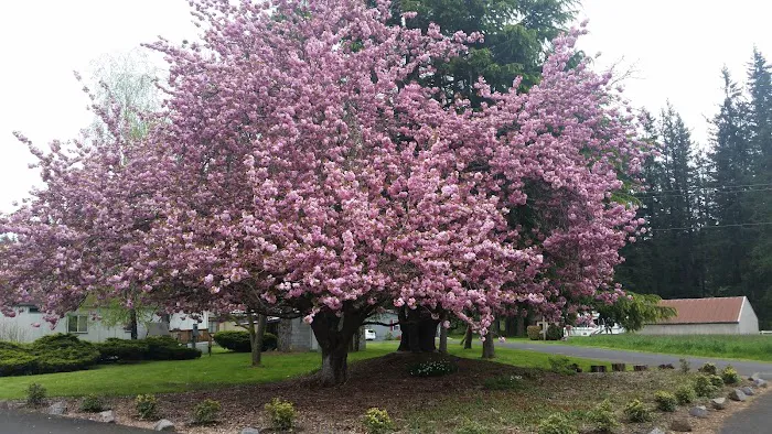 Green Mountain Mobile Ranch Picture 8