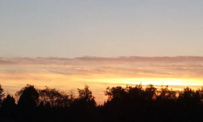 Green Mountain Mobile Ranch Picture 9