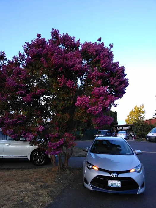 Fox Run RV Park Picture 3