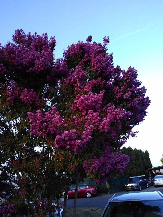 Fox Run RV Park Picture 4