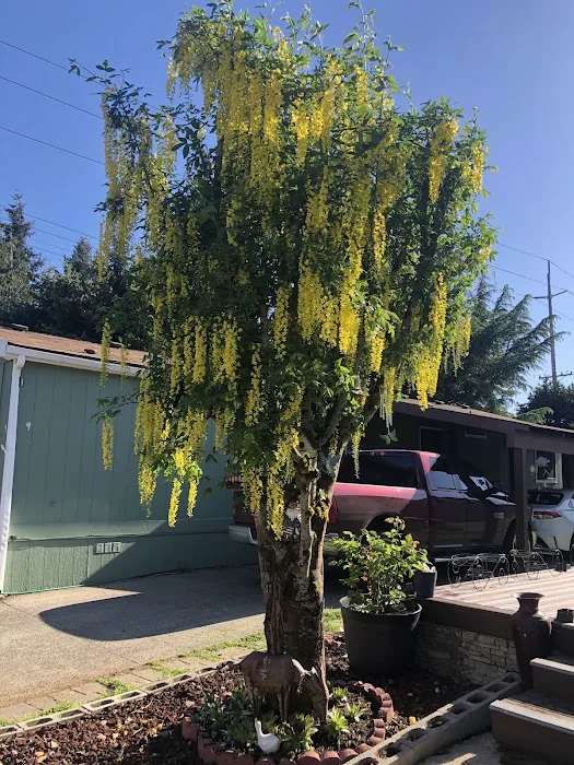 Acres Mobile Estates LLC Picture 4