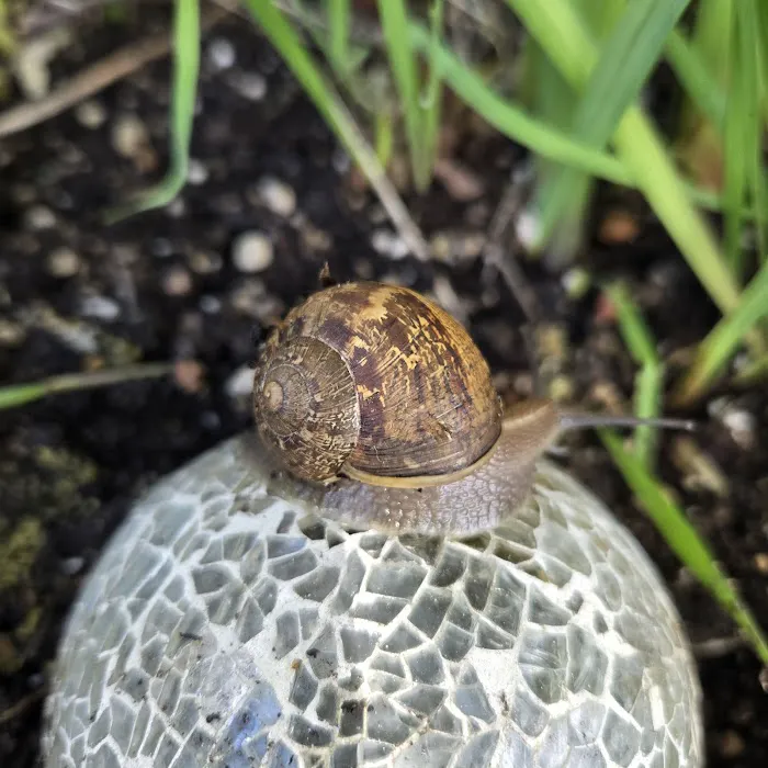 Creekside Estates Vancouver Picture 2