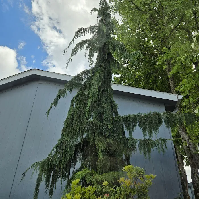 Creekside Estates Vancouver Picture 4