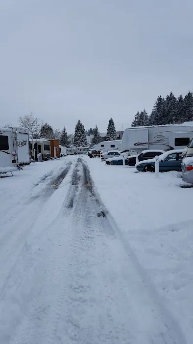 Vancouver Mall RV Park Picture 3