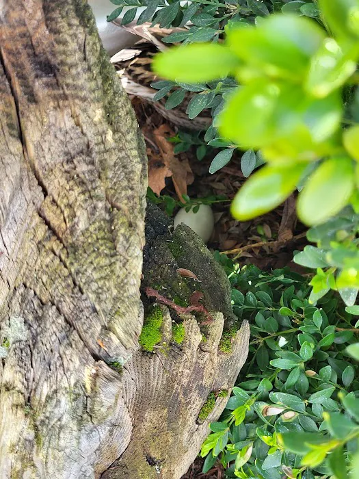 Vancouver Mobile Terrace Picture 4