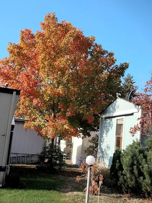 Vancouver Mobile Terrace Picture 5