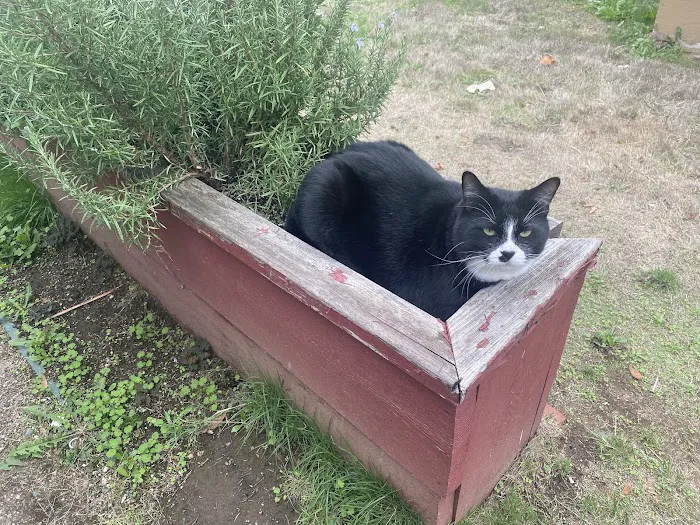 Vancouver Mobile Terrace Picture 6