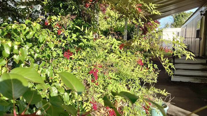 Vancouver Mobile Terrace Picture 7