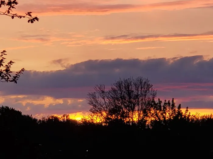 Jantzen Beach RV Park Picture 4