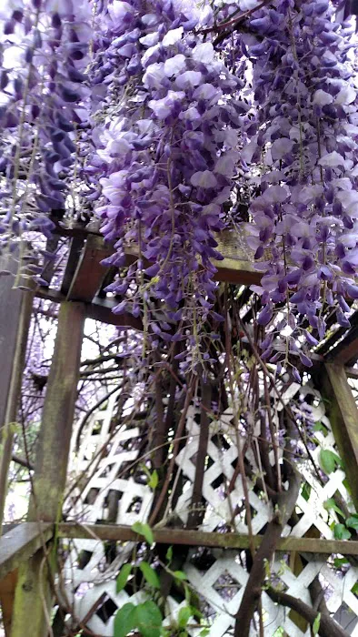 Northwest Mobile Estates Picture 10