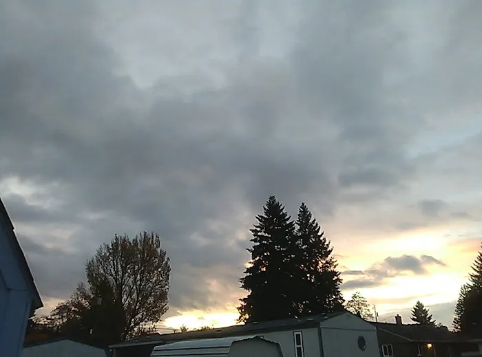 Northwest Mobile Estates Picture 9