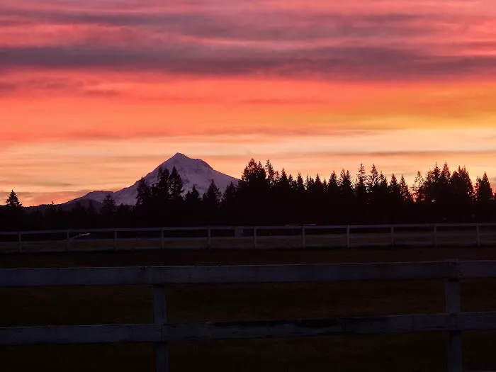 Pioneer Mobile Home Park Picture 1