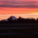 Pioneer Mobile Home Park