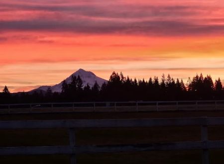 Pioneer Mobile Home Park