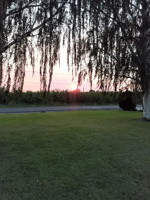 Collective Communities Hazel Dell MHC Picture 2