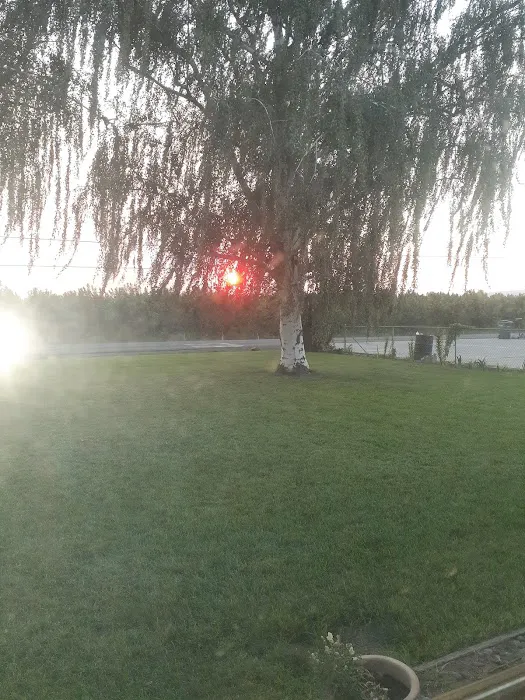 Collective Communities Hazel Dell MHC Picture 3