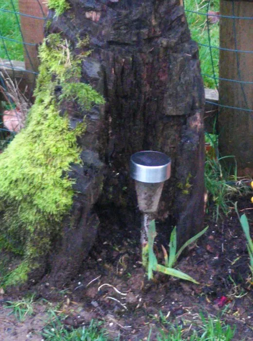 Knoll Mobile Home Park Picture 4