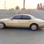 Collective Communities Lazy Z MHC