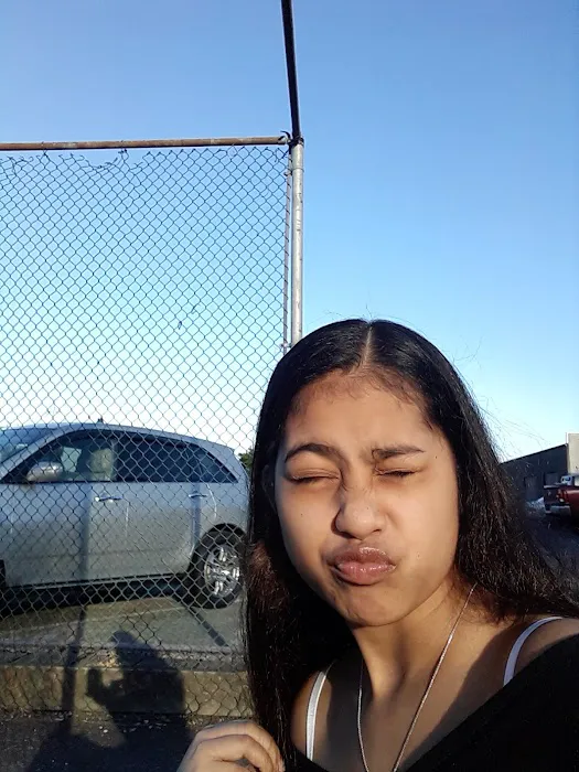 Collective Communities Lazy Z MHC Picture 4