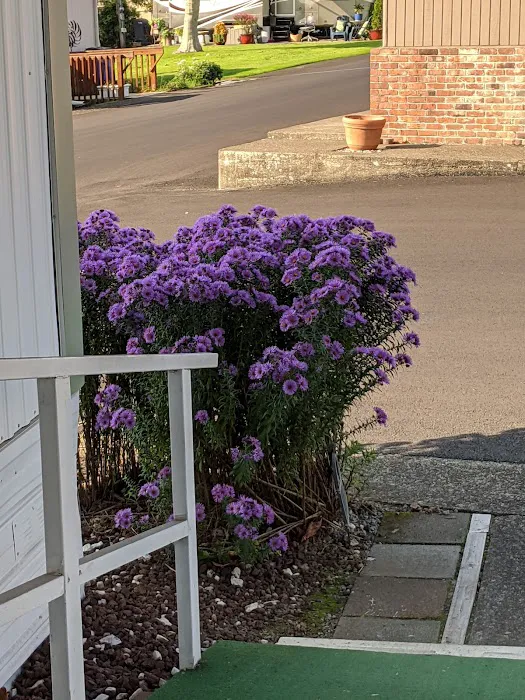 Collective Communities Lazy Z MHC Picture 9