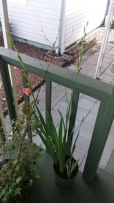 Collective Communities Lazy Z MHC Picture 10