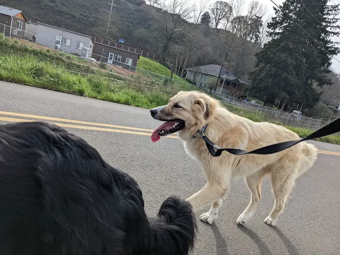 Lakeside Mobile Estates Picture 5