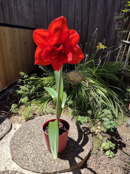 Lakeside Mobile Estates Picture 7