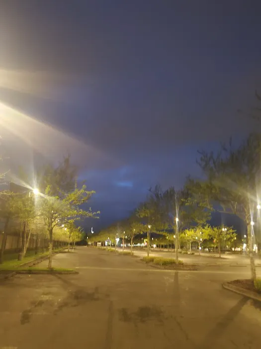 Meadow Verde Picture 2