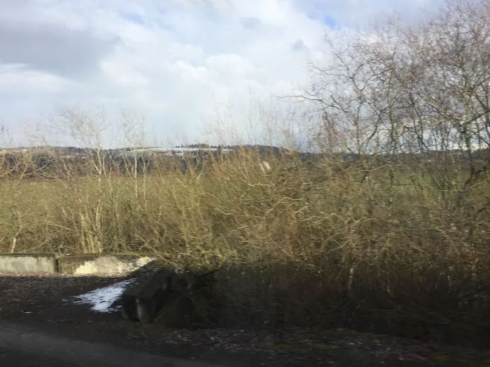 Meadow Verde Picture 6