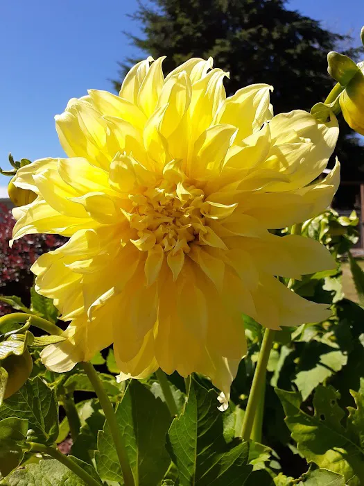 Hidden Village Mobile Home Pk Picture 5