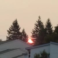 Wunder Mobile Park ico