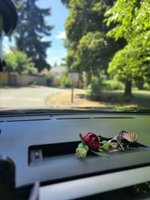 Wunder Mobile Park Picture 5