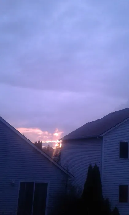 Wunder Mobile Park Picture 9