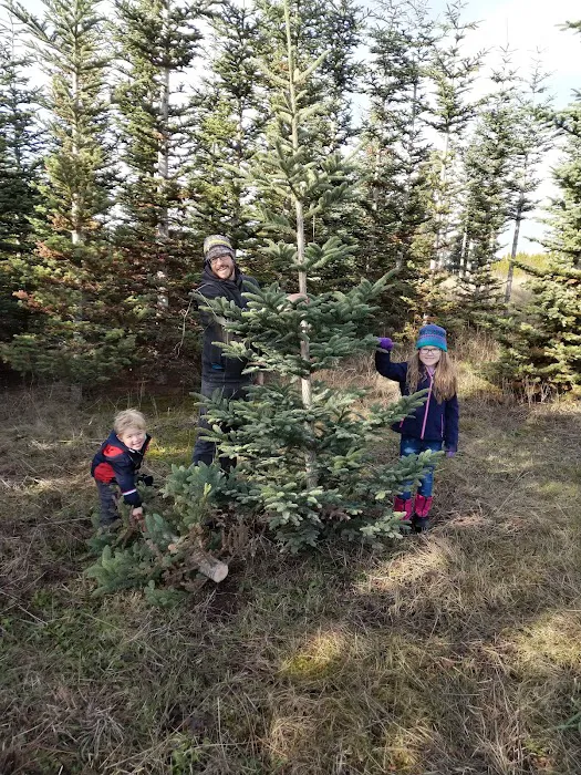 Barlow Trail Estates Picture 5