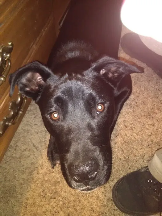 Barlow Trail Estates Picture 6