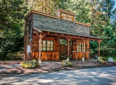 Big Valley Woods