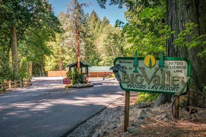 Big Valley Woods Picture 6