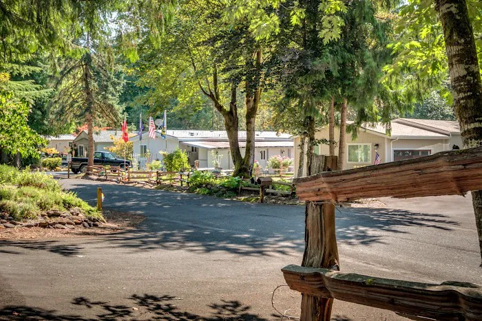 Big Valley Woods Picture 7