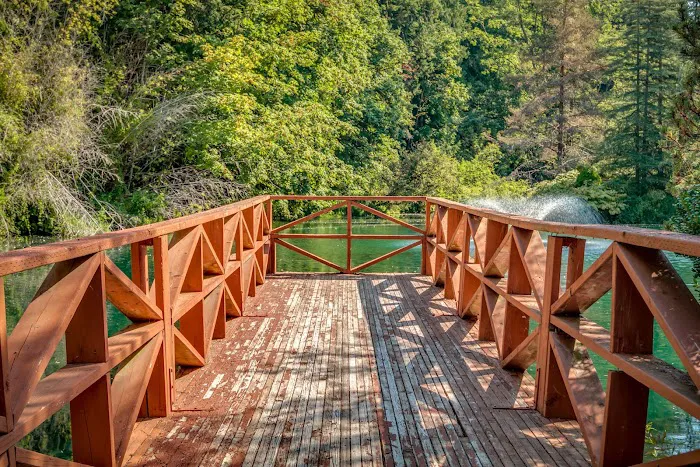 Big Valley Woods Picture 10